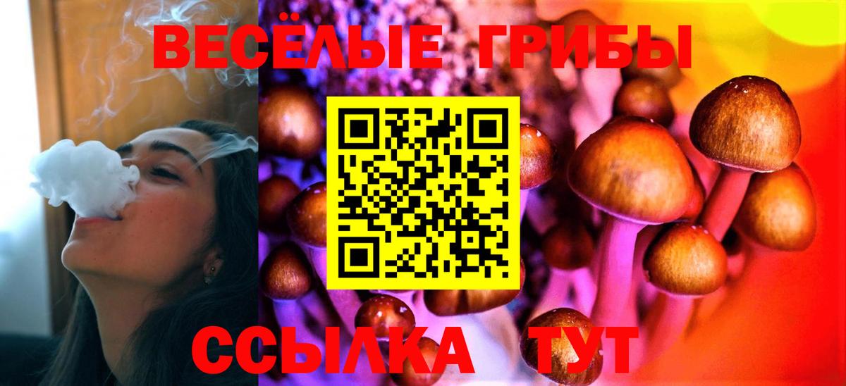 Псилоцибиновые грибы прущие грибы Калуга